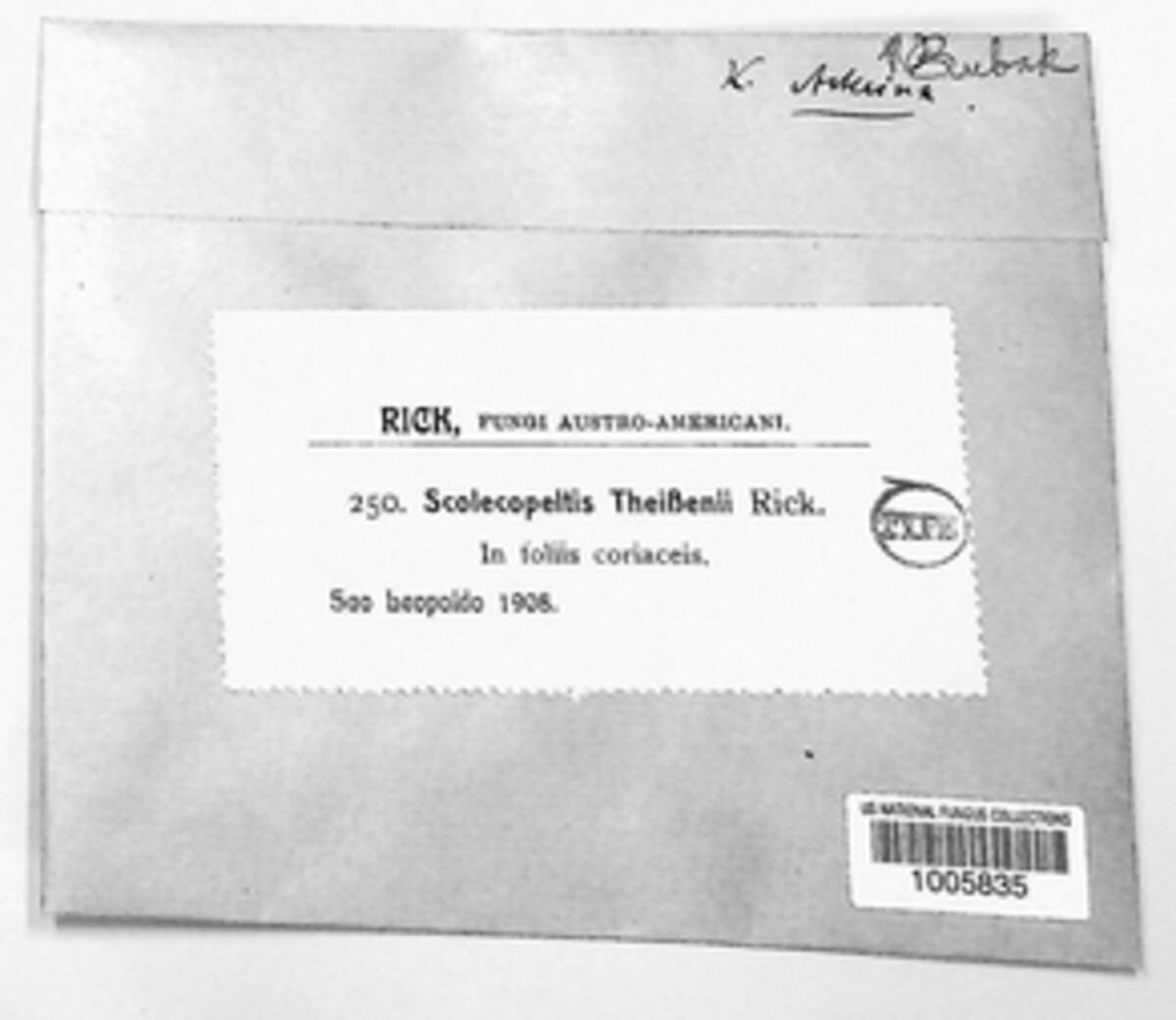 Cyclostomella theissenii image